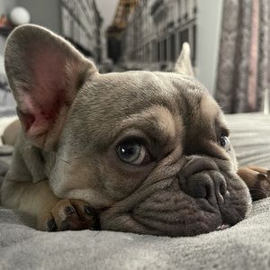 Meet your Posher, James